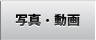 写真・動画